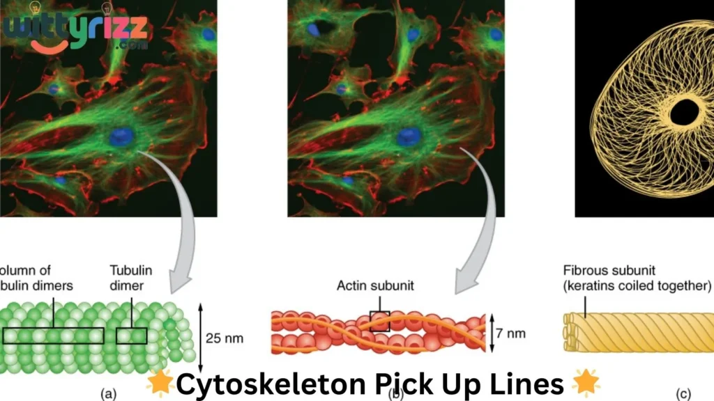 Cytoskeleton Pick Up Lines
