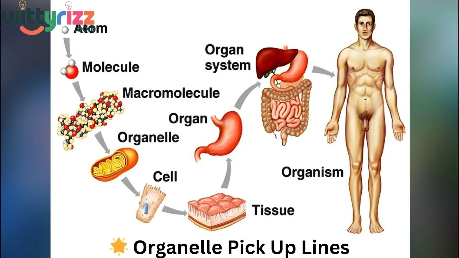 Organelle Pick-Up Lines