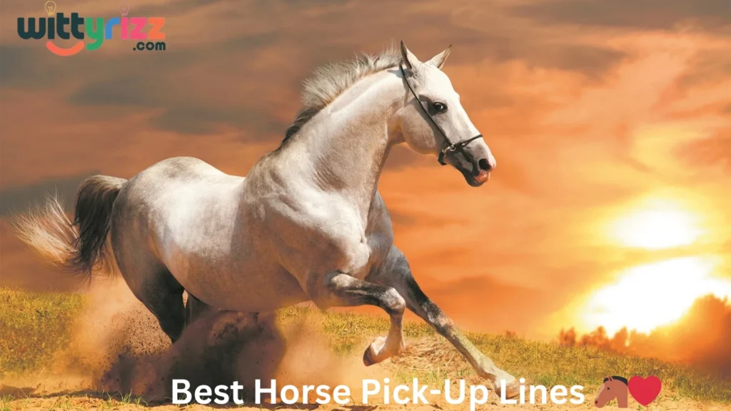 Best Horse Pick-Up Lines