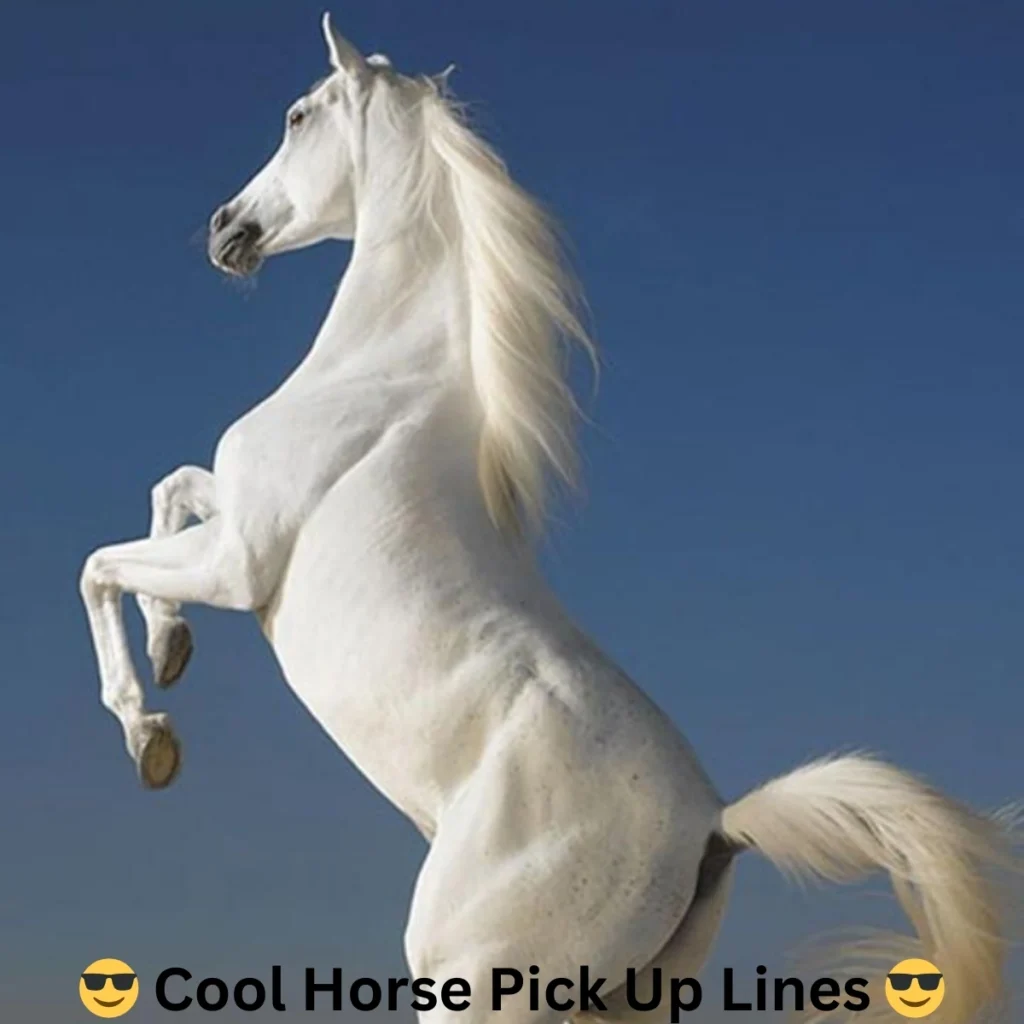  Cool Horse Pick Up Lines 