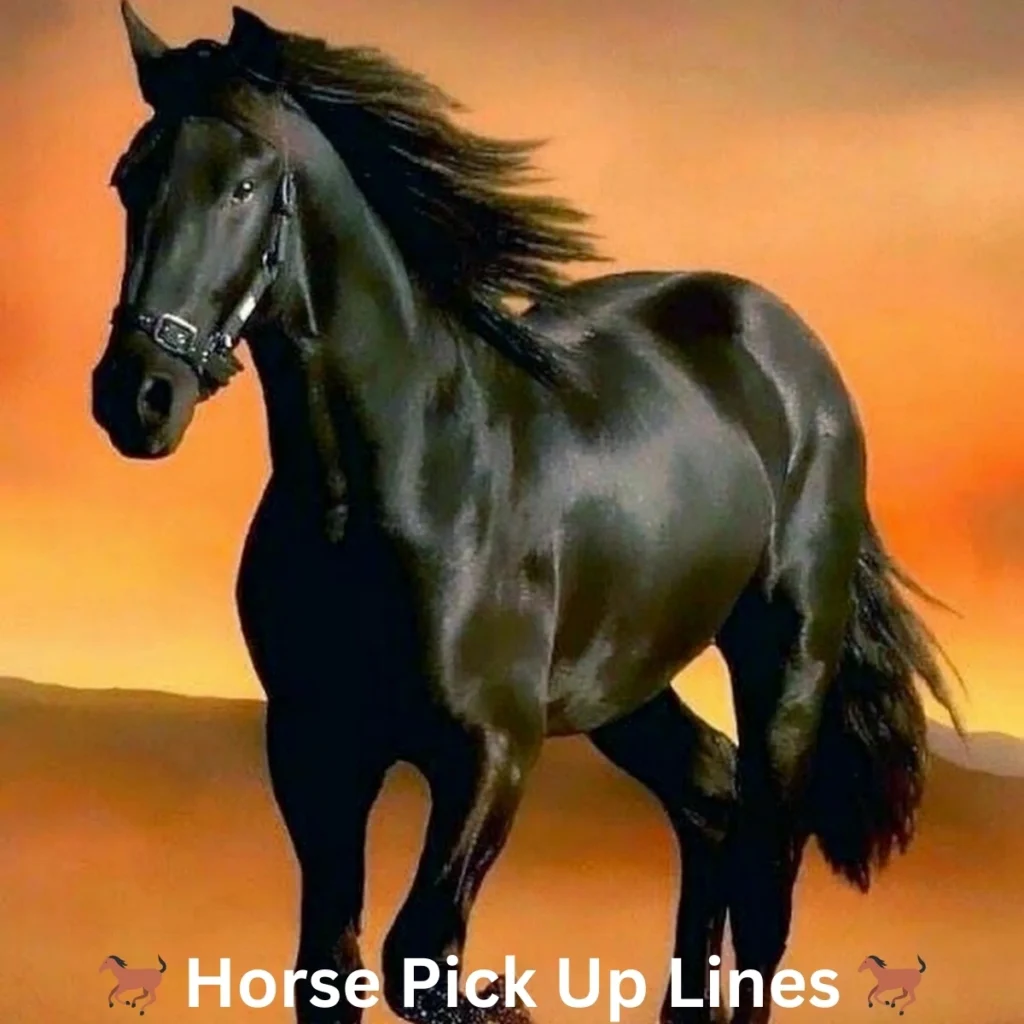 Horse Pick-Up Lines 