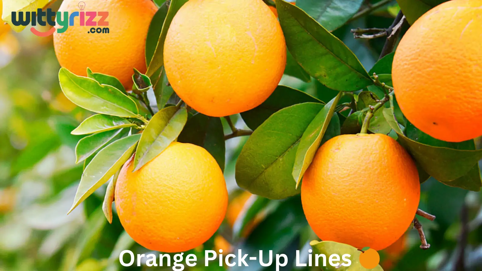 Oranges Pick-Up Lines 