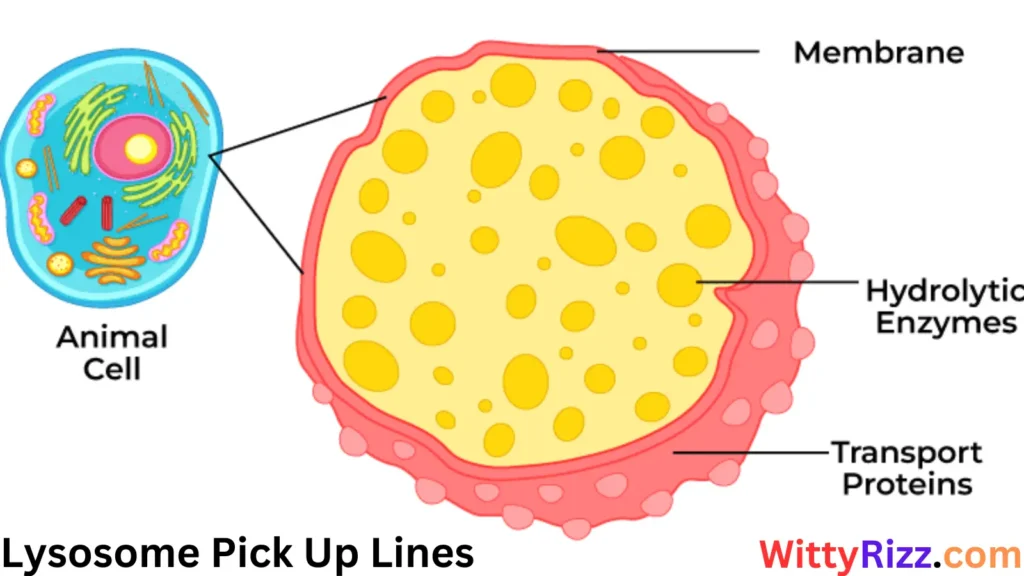 Lysosome Pick Up Lines