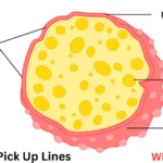 Lysosome Pick Up Lines