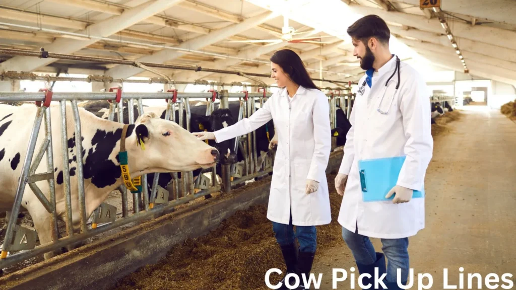 Cow Pick Up Lines