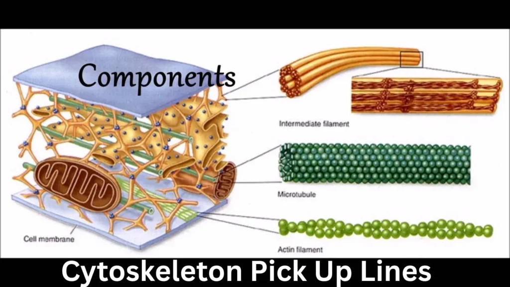 Cytoskeleton Pick Up Lines Funny