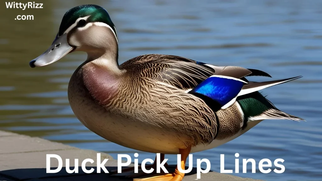 Duck Pick Up Lines