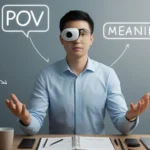 POV Meaning