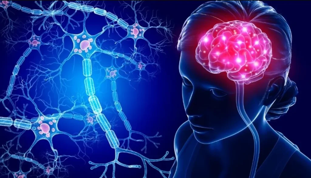 How to Look for a Flat Without Losing Your Sanity or Your Last Brain Cell