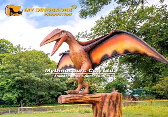 Where Have Flying Dinosaur Fossils Been Found?
Last updated: June 1, 2026 at 11:43 am by Harper
Where Have Flying Dinosaur Fossils Been Found