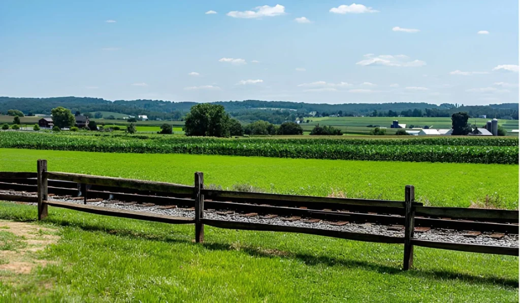 The Real Cost Of Marking Two Acres With Split Rail